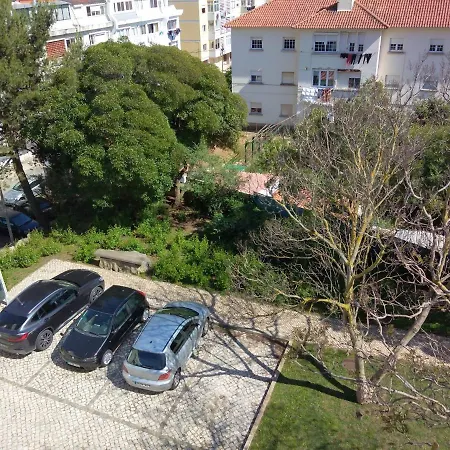 Kochab Cascais